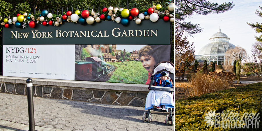 It’s a Very Merry Train Christmas: NYBG